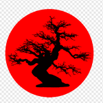Avatar de l’utilisateur/utilisatrice